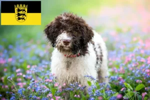 Lees meer over het artikel Lagotto Romagnolo fokkers en pups in Baden-Württemberg